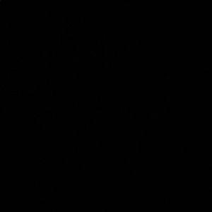 Meet your Posher, Anny